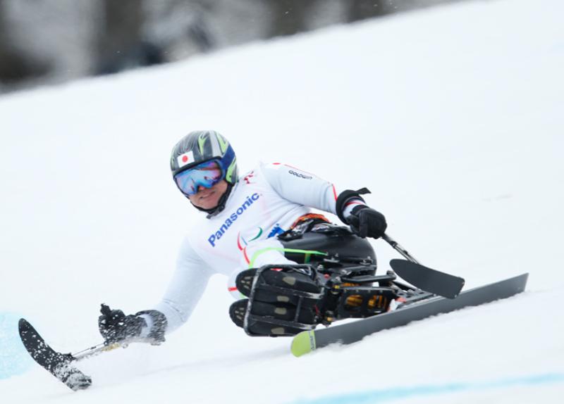 森井大輝　経歴