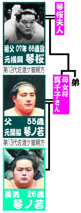 琴櫻将傑　家系図
