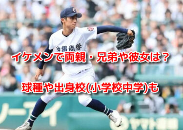 新垣有絃はイケメンで両親(父母)兄弟や彼女は？球種や出身校(小学校中学)も
