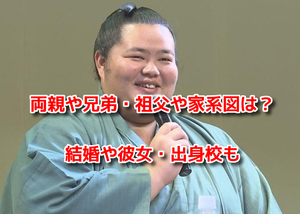 琴櫻将傑